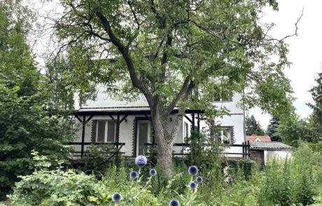 Großzügiges Zuhause mit Charakter und Potenzial